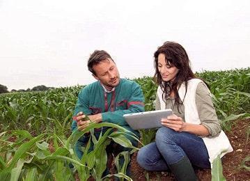 agricoltura giovani imprenditori 350 min
