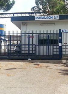 Marangoni di Anagni