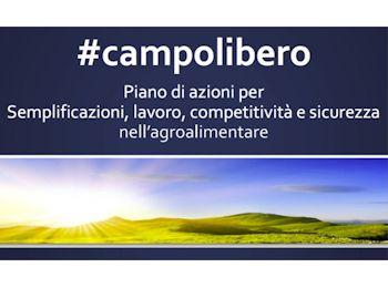 campolibero