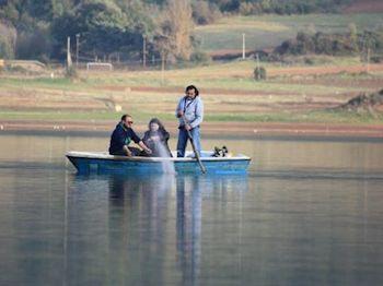 Le ceneri di Carinci nel lago di Canterno