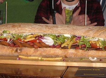 paninoxxl 350-260