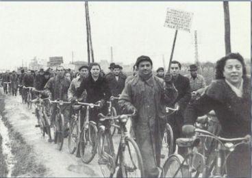 biciclette 350 260