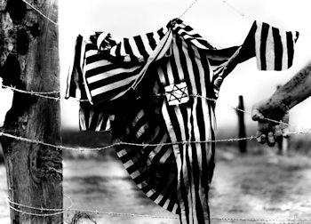 giornata della memoria 350 260