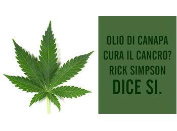 canapa ok 350 260