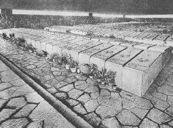 fosseardeatine 350 260