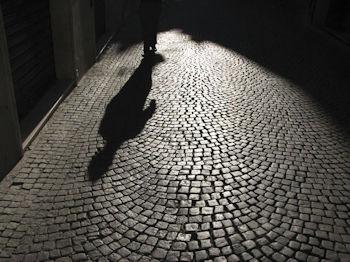 ombra siamo noi 350 260