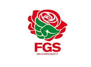 LOGO FGS 350 260