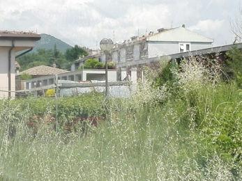Ferentino Simone Cola 1 350 260