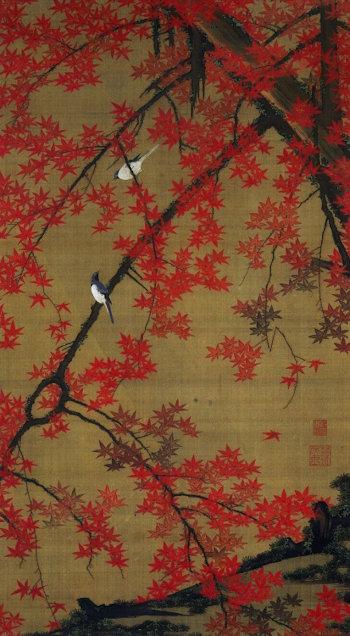 Albero di acero e piccoli uccelli di Ito Jakuchu