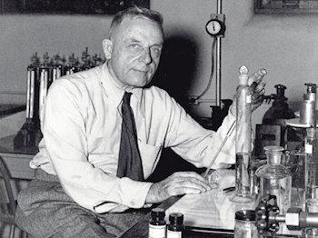 Otto Warburg 350 260