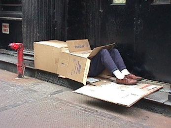 Povertà Barbone in scatola 350 260