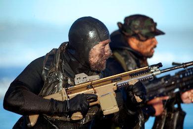 navy seal photo 350 260