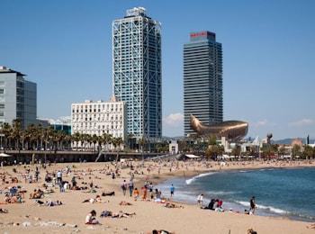 barcellona 350 260 min