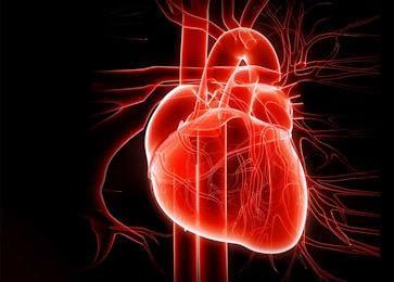 cuore 350 260 min