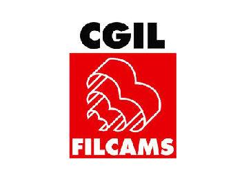 filcams cgil 350 260