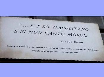 sonapulitano 350