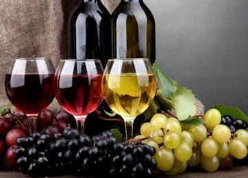 vino 2015 350 260 min