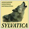 LOGO SYLVATICA SMALL