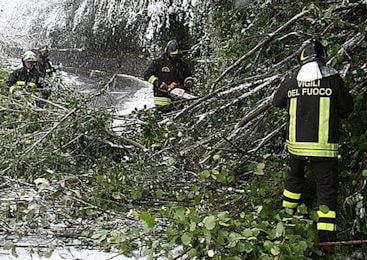 vigili fuoco alberocaduto friuli 350 260 min
