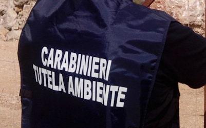 Nucleo Operativo Ecologico Noe Carabinieri 400 min