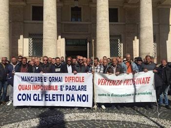 Leoni che si battono 350 260 min