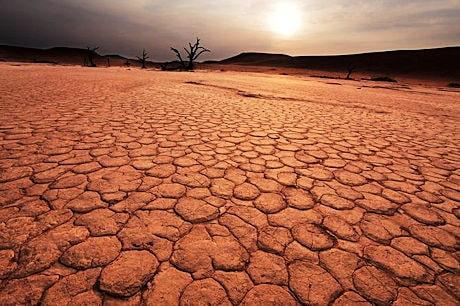 deserto 460 min