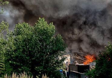 incendiomecoris 350 min