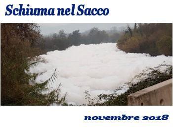 schiuma nel Sacco 350