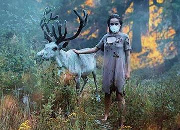 siberia incendi animali 350 min