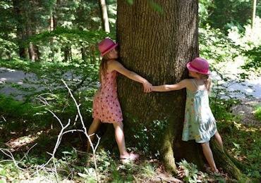 giornata nazionale degli alberi 350 min
