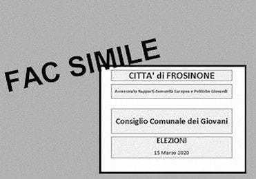 Fac Simile Schede 350ok min