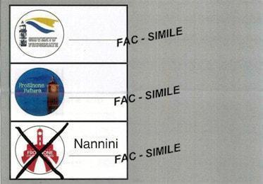 nannini fac simile 350 min