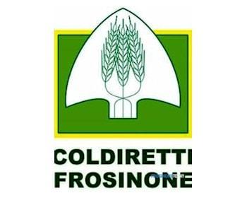 coldiretti 400 min