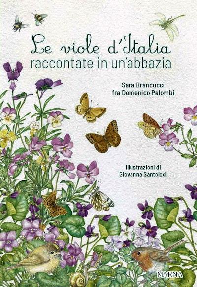 Le viole dItalia raccontate in unabbazia 400 min2