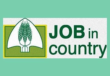 Logo job in country 350 min