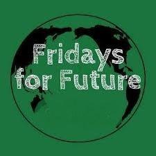 fridaysforfuture min