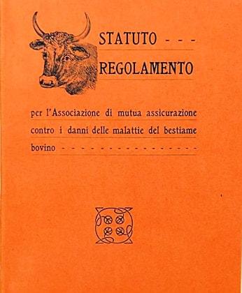 solidarietà ceccano regolamento min