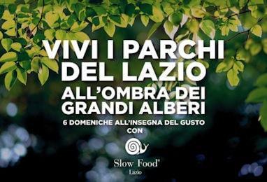 grandiAlberi 382 min