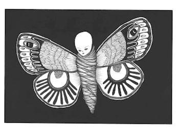 Butterfly bondage - Æno © Archivio aeno.it Foto 4 350 min