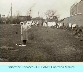 Tabacchine essiccatoi 350 min
