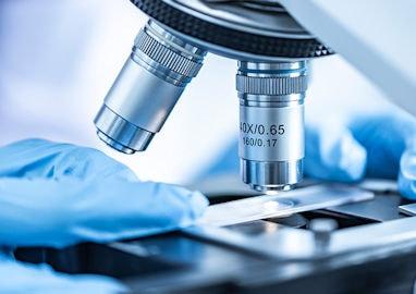 Microscopio virus e batteri 370 min