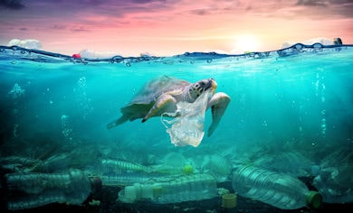 Tartaruga e mare inquinato dalla plastica 390 min