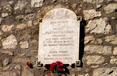 Lapide Luigi Mastrogiacomo 390 min