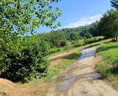 Pardita Acqua Torrice 350 min