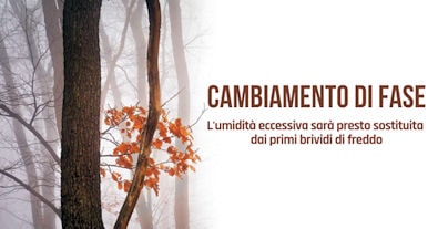 Cambiamento di fase La strada stretta dellautunno verso il freddo min