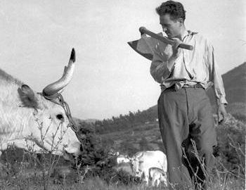 nei campi nel 1953 350