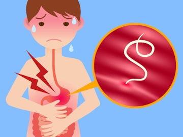 vermi intestinali 350 min