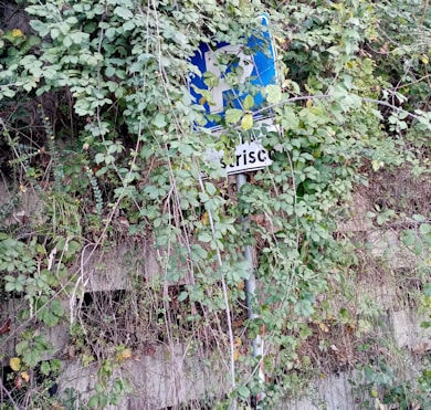 ph parcheggio Piscina 3 390 min