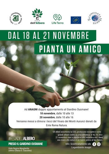 FestaAlbero Anagni 358 min