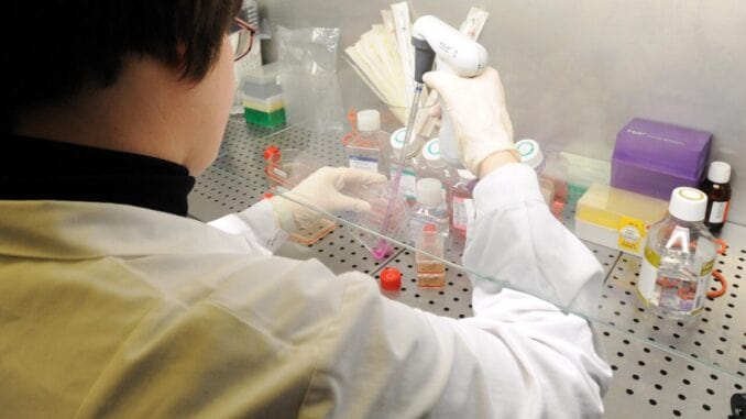 Laboratorio Umbriajournal min